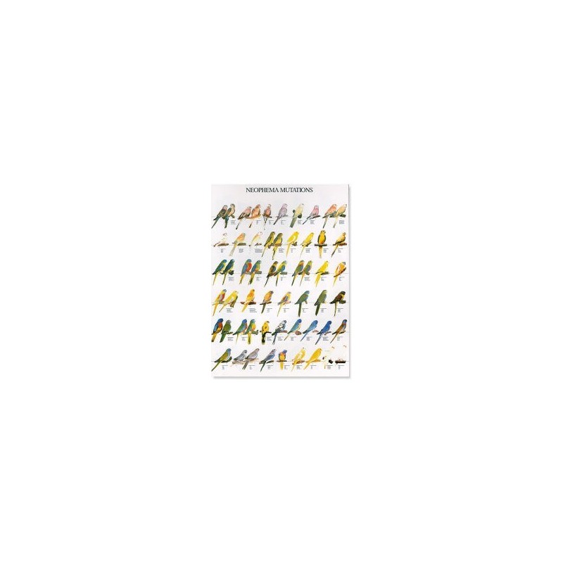 Mutations european finches