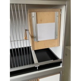 Neophema blok in de kooi