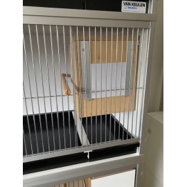 Neophema blok in de kooi