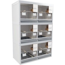 Block of 4 Cages, beside each other