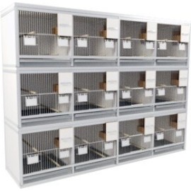 Block of 8 Cages, 2 on top and 4 beside each other