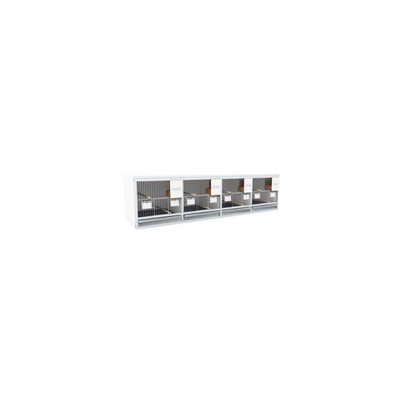Block of 4 Cages, 2 on top and 2 beside each other