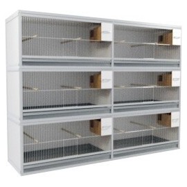 Block of 6 Cages, 3 on top and 2 beside each other