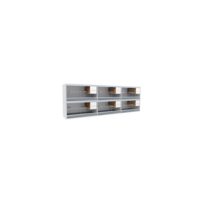 Block of 6 Cages, 2 on top and 3 beside each other