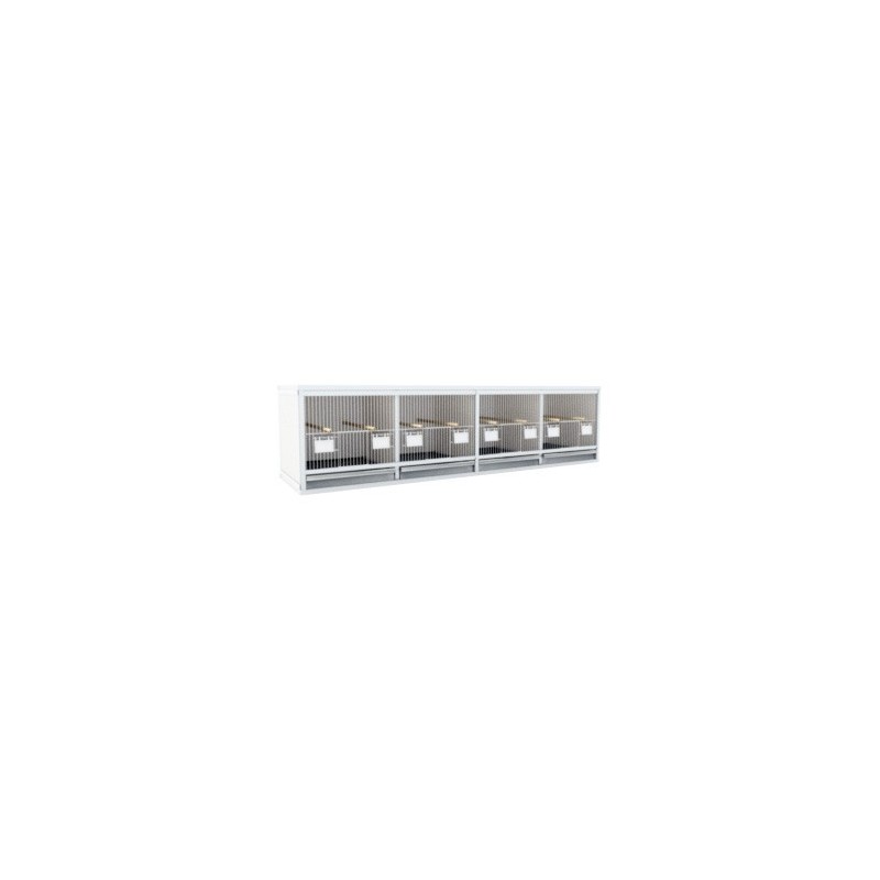 Block of 4 Cages, 2 on top and 2 beside each other