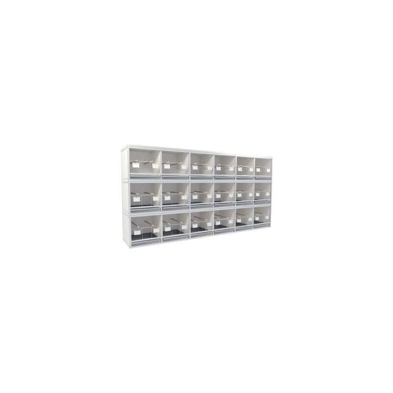 Block of 8 Cages, 2 on top and 4 beside each other