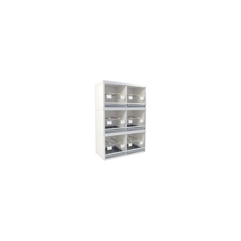Block of 4 Cages, beside each other