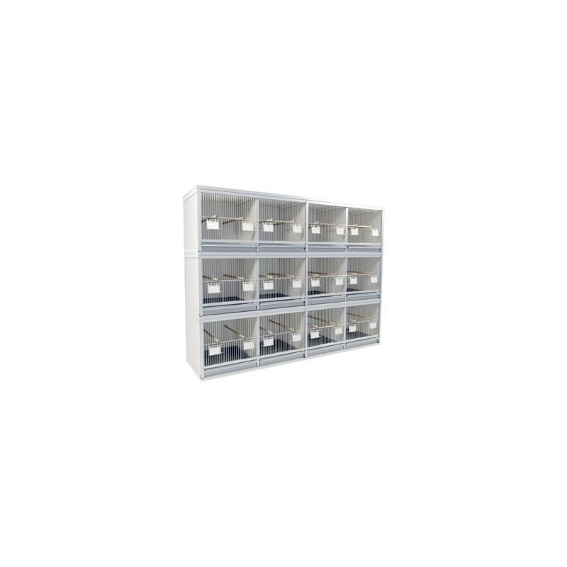 Block of 8 Cages, 2 on top and 4 beside each other