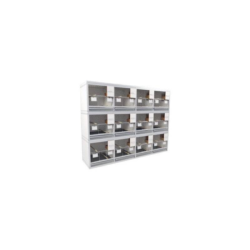Block of 8 Cages, 2 on top and 4 beside each other