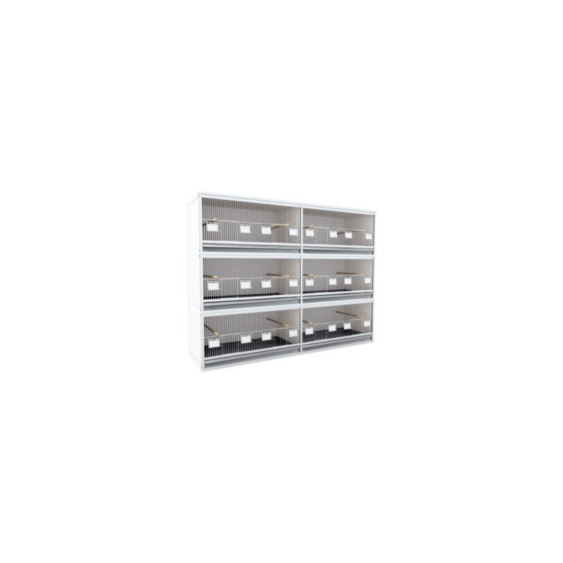 Block of 6 Cages, 3 on top and 2 beside each other