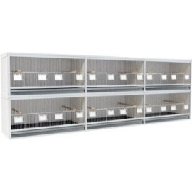 Block of 6 Cages, 2 on top and 3 beside each other