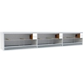 Block of 3 Cages, beside each other