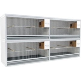 Block of 4 Cages, 2 on top and 2 beside each other