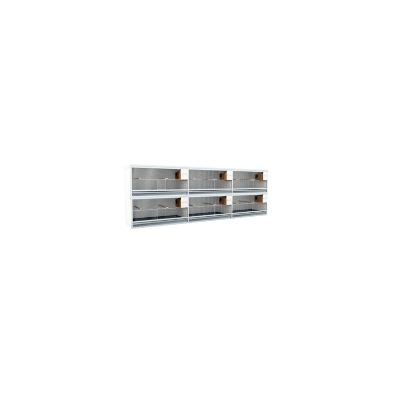 Block of 6 Cages, 2 on top and 3 beside each other