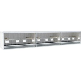 Block of 3 Cages, beside each other