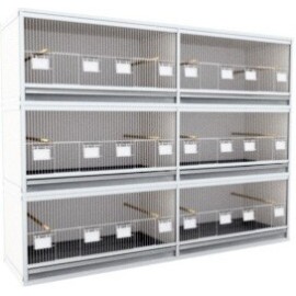 Block of 6 Cages, 3 on top and 2 beside each other