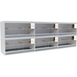 Block of 6 Cages, 2 on top and 3 beside each other