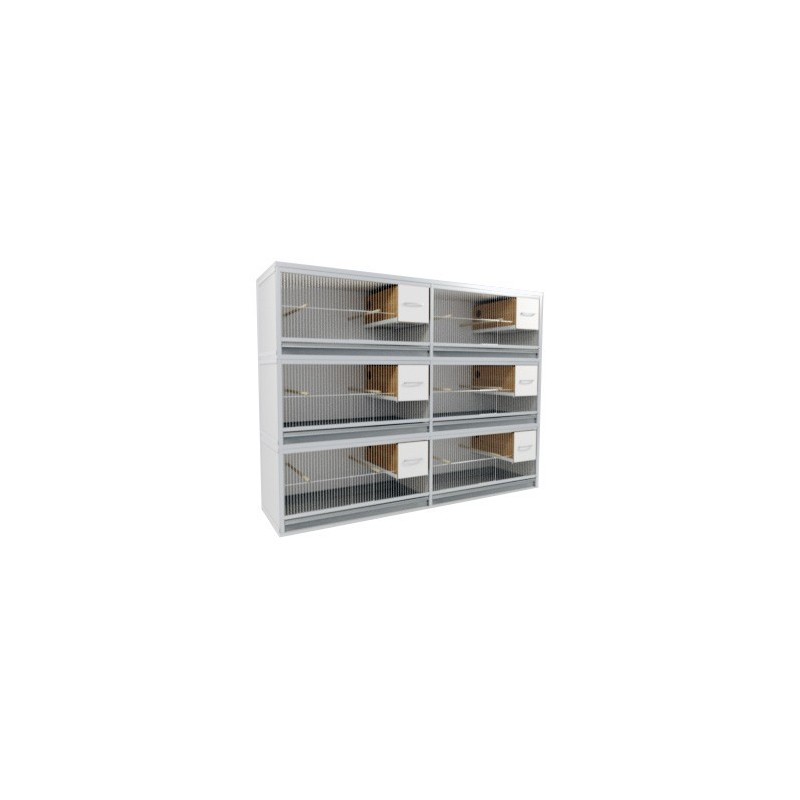 Block of 6 Cages, 3 on top and 2 beside each other