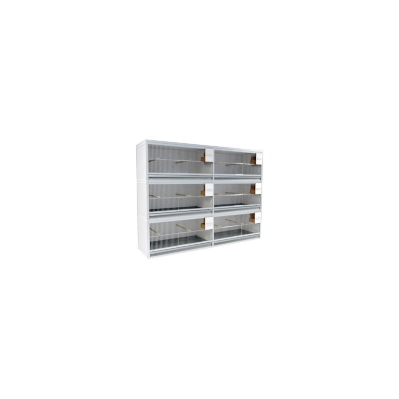 Block of 6 Cages, 3 on top and 2 beside each other