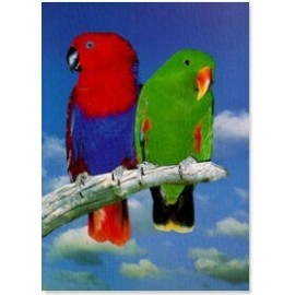 Australische edelpapegaaien