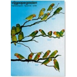 Vijgpapegaaien